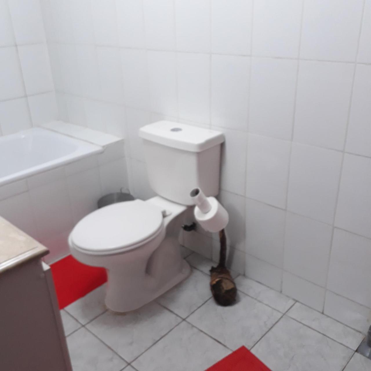 La Llar Hostel ปังกีปูยี ภายนอก รูปภาพ